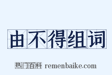 由不得组词是什么意思的图片